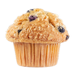 Assorted Muffins